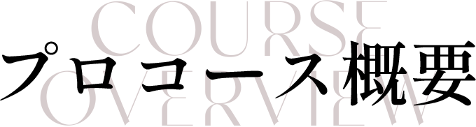 プロコース概要